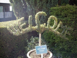 mud-island-garden-centre-gallery-1