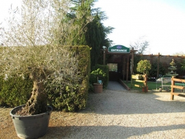 mud-island-garden-centre-gallery-2