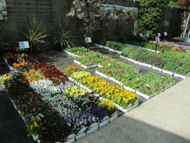 mud-island-garden-centre-gallery-24
