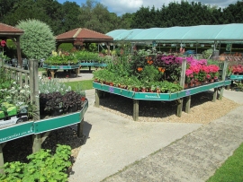 mud-island-garden-centre-gallery-28