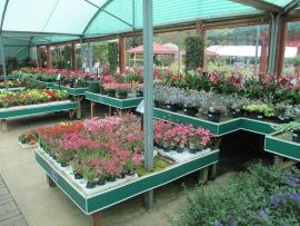 mud-island-garden-centre-gallery-29