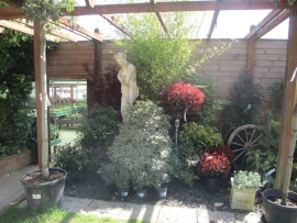 mud-island-garden-centre-gallery-3