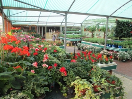 mud-island-garden-centre-gallery-40