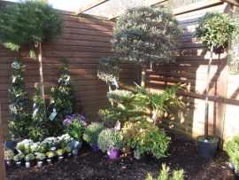 mud-island-garden-centre-gallery-5