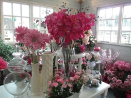 mud-island-garden-centre-gallery-50
