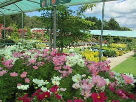 mud-island-garden-centre-gallery-8