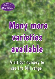 many-more-varieties