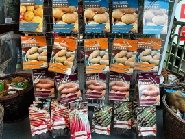 8-seed-potatoes-rhubarb-asparagus