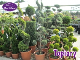topiary-2