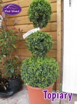topiary-3