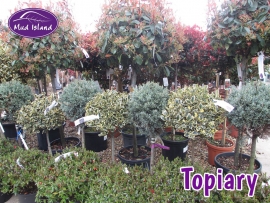 topiary-6
