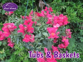 tubs-and-baskets-10