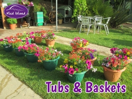 tubs-and-baskets-2