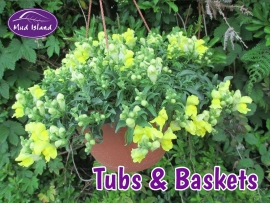 tubs-and-baskets-3