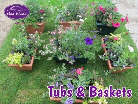 tubs-and-baskets-4
