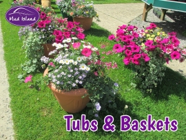 tubs-and-baskets-6