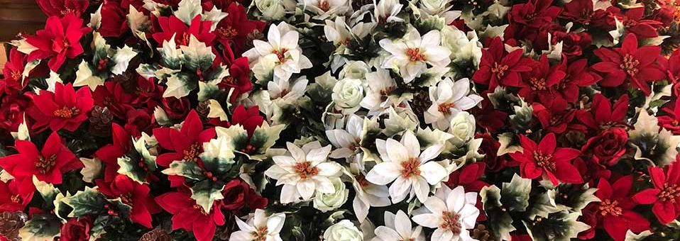 Mud Island Garden Centre | Hampshire garden centre Family growers for