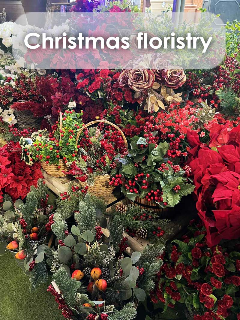 buy christmas flowers