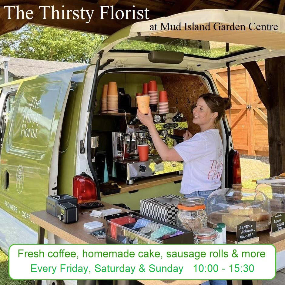 the thirsty florist coffee and cake
