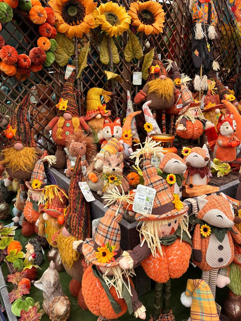 autumn garden centre