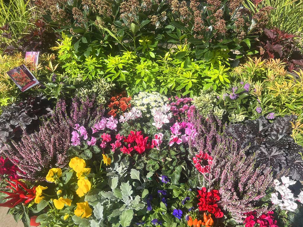 local garden centre in hampshire